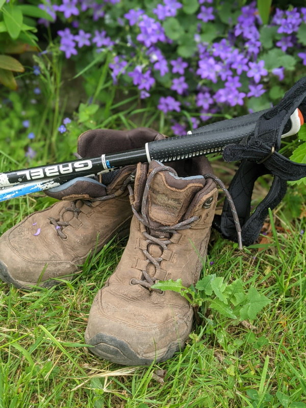 Walking boots and Nordic walking poles near some flowers